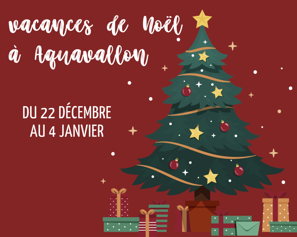 Visuel de Noel à Aquavallon