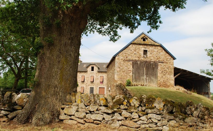 Ferme de La Palmerie à Luc