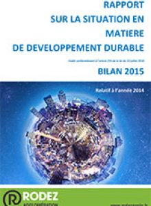 couv-rapport-dd2015