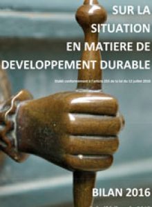 couve-rapport-DD-2015