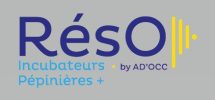 logo-reso-incubateurspepinieres
